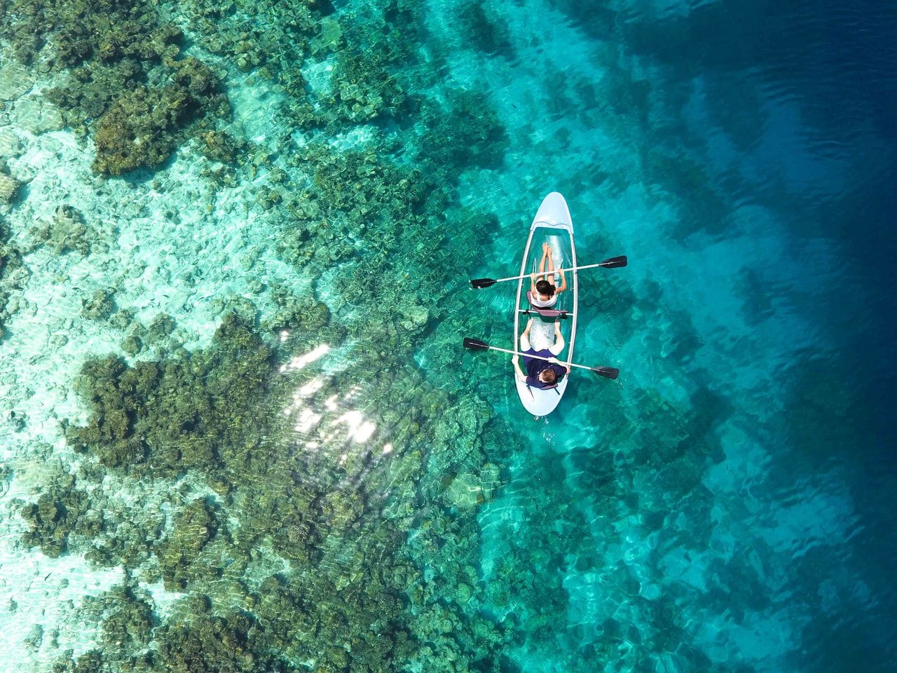 Sea kayaking through a mangrove channel in Siargao