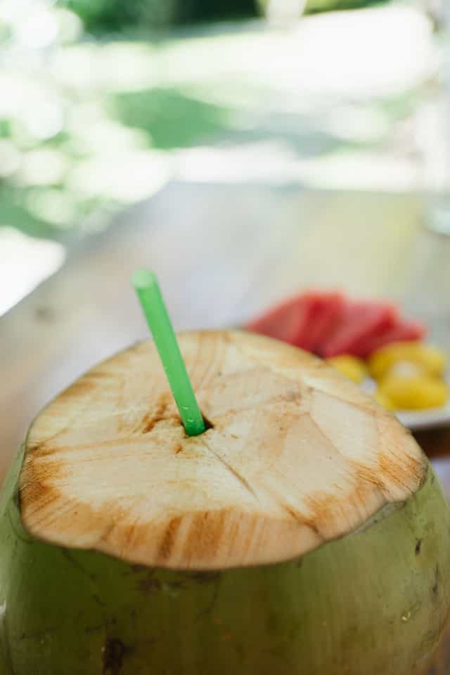 Tropical Drinks